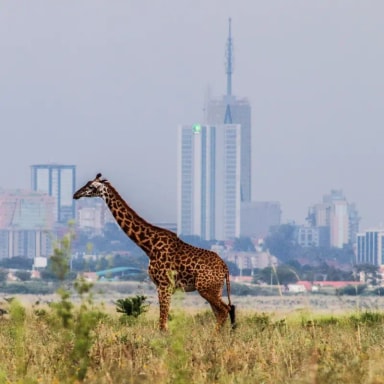Nairobi